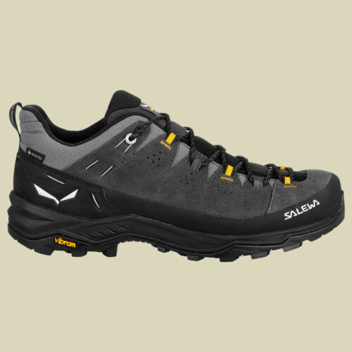 Alp Trainer 2 GTX Men onyx/black UK 7