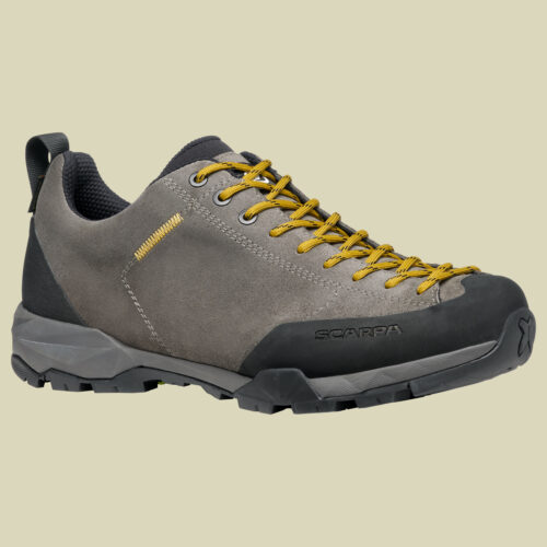 Mojito Trail GTX Wide Men grau 45 - titanium/mustard