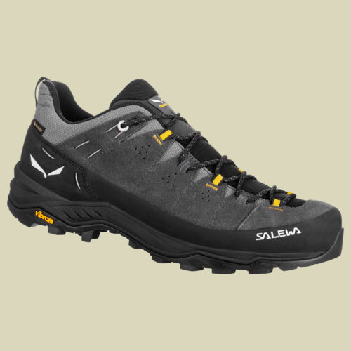 Alp Trainer 2 GTX Men onyx/black UK 11,5