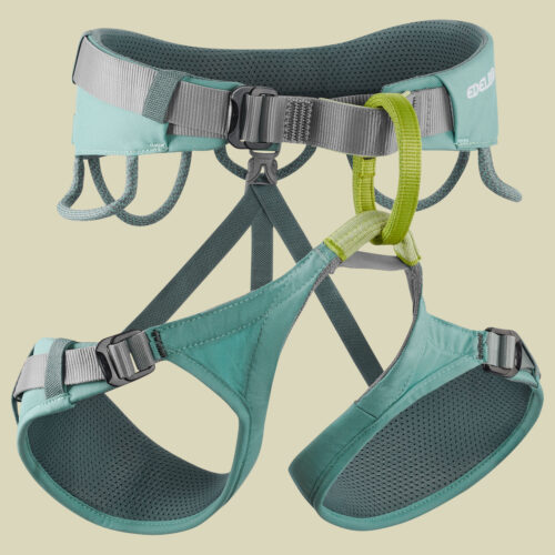 Jayne IV L blau - dolphin