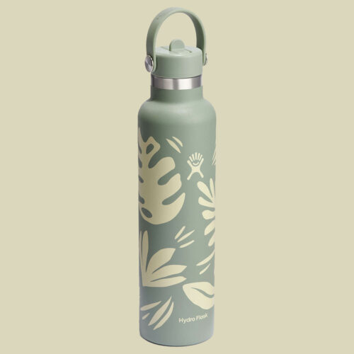 Hydro Flask 21 oz Standard Mouth w. Flex Straw Cap mehrfarbig 621 - botanical bliss agave