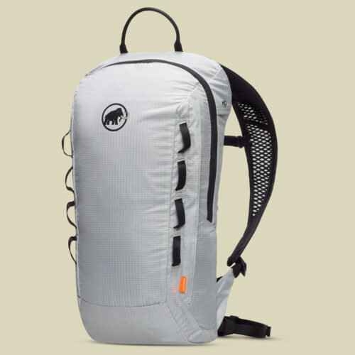 Neon Light 12 grau - platinum