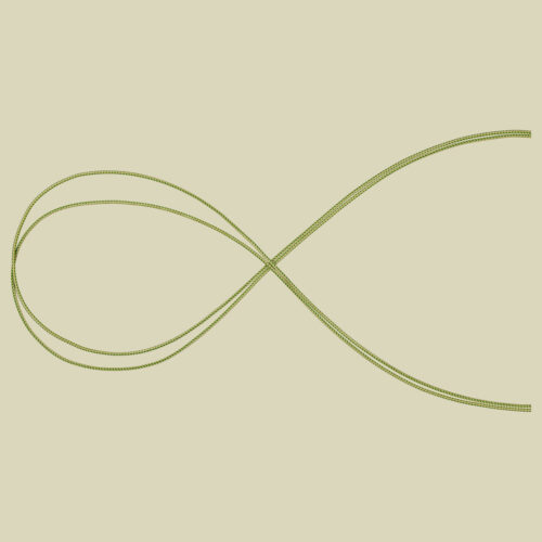 4.0 Accessory Cord Farbe green